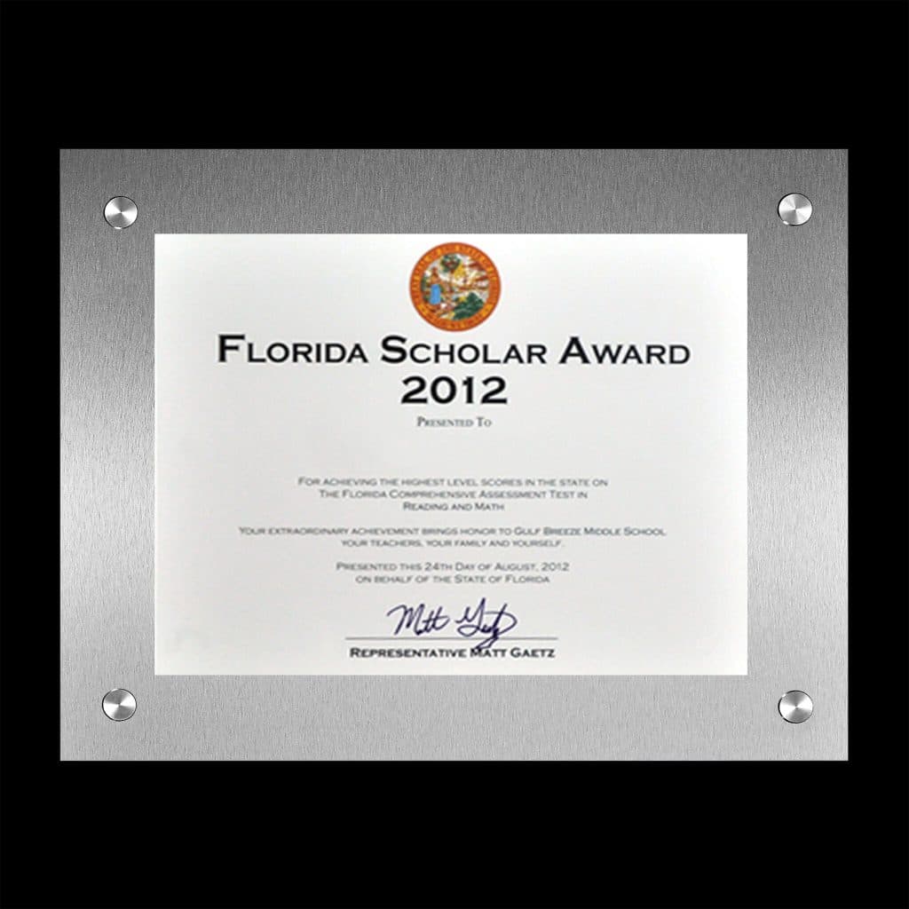 FUTURA Modern Metal Award Frame