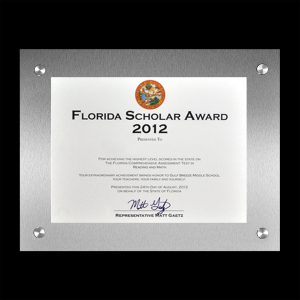 FUTURA Modern Metal Award Frame