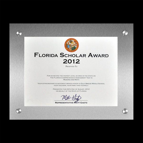 FUTURA Modern Metal Award Frame