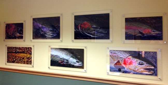 Tom Olivio Fly Fishing Portraits