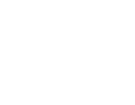 U.S. Air Force